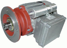 One-phase motor